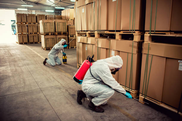 Best Wildlife Control Services  in Oakland, CA
