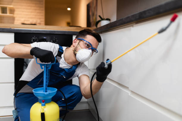 Best Termite Control Services  in Oakland, CA