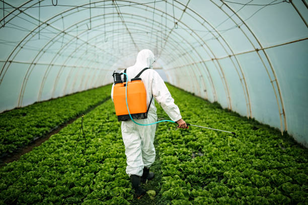 Best Residential Pest Control  in Oakland, CA