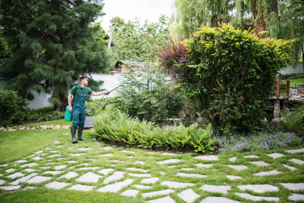 Best Insect Control  in Oakland, CA