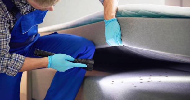 Reliable Oakland, CA Pest Control Solutions