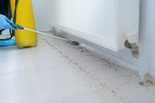 Best Cockroach Control Services  in Oakland, CA