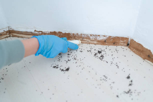 Best Pest Prevention Services  in Oakland, CA
